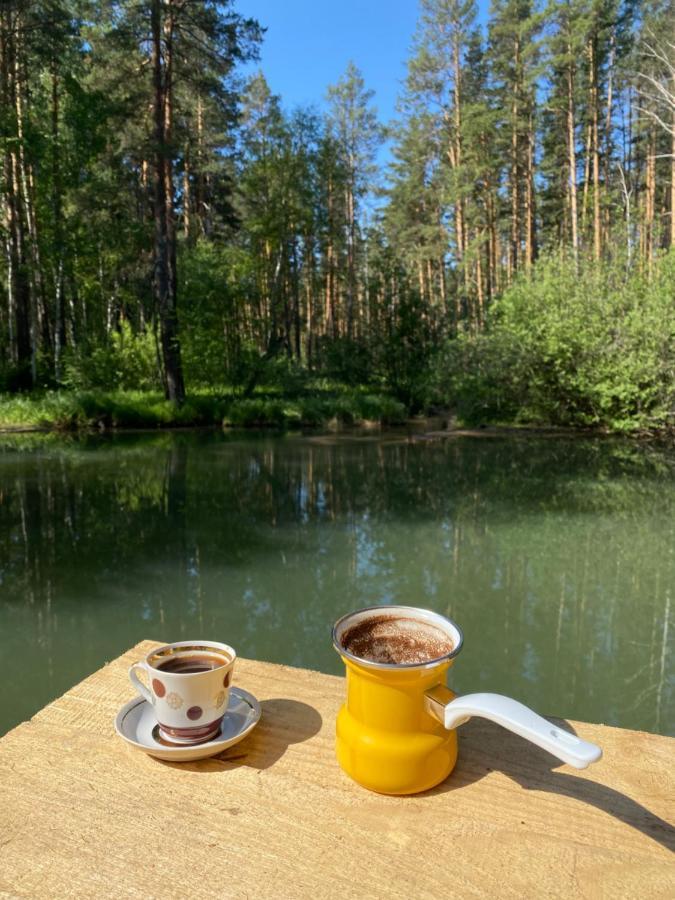Forest And Lake Borovoe Bagian luar foto
