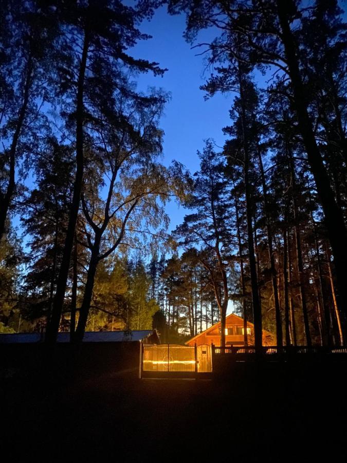 Forest And Lake Borovoe Bagian luar foto