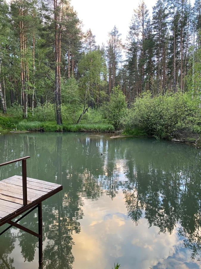 Forest And Lake Borovoe Bagian luar foto
