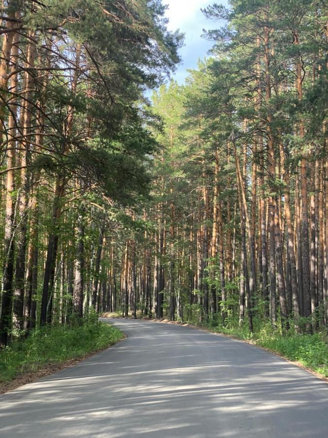 Forest And Lake Borovoe Bagian luar foto